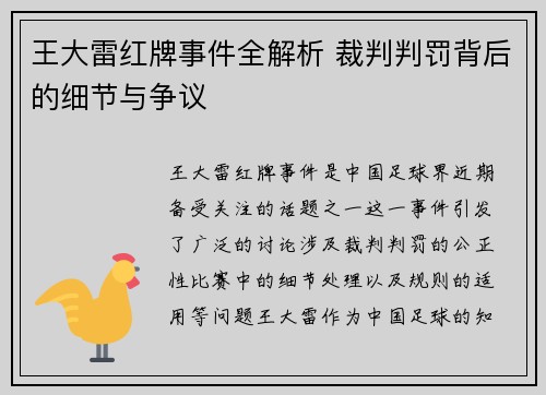 王大雷红牌事件全解析 裁判判罚背后的细节与争议